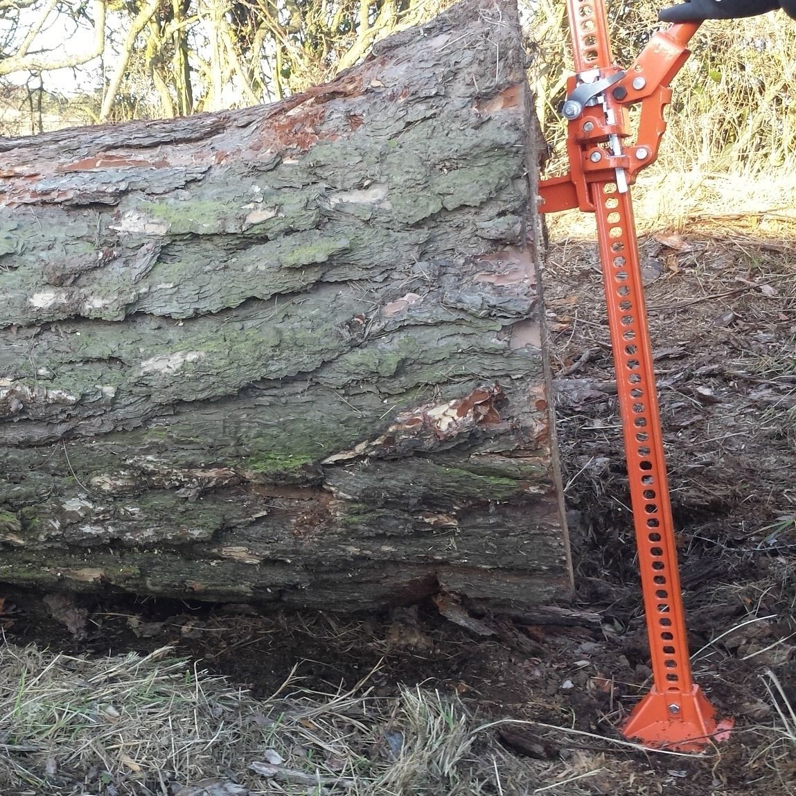 FOREST MASTER TREE PUSHER LOG LIFTER FELLING LEVER TIMBER JACK SAW